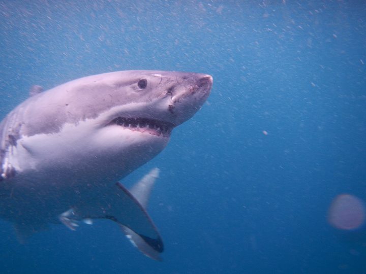 206503199544746_643495792512149 1500253451