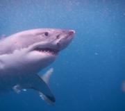 206503199544746_643495792512149 1500253451