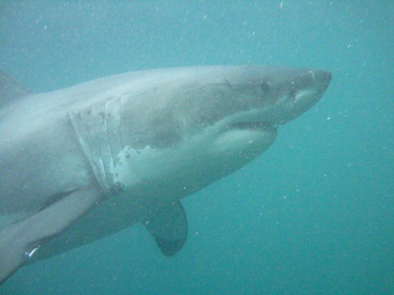 206503199544746_637425403119188 1500253453