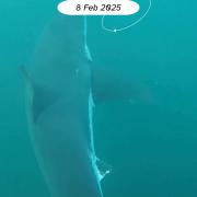 206503199544746_1239981991480969 1762221724