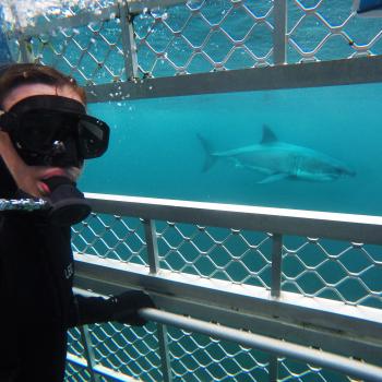 Jimmy Britnell 2017 Shark Selfie