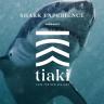 Tiaki Promise 2 Mike Coots Great White Bluff New Zealand