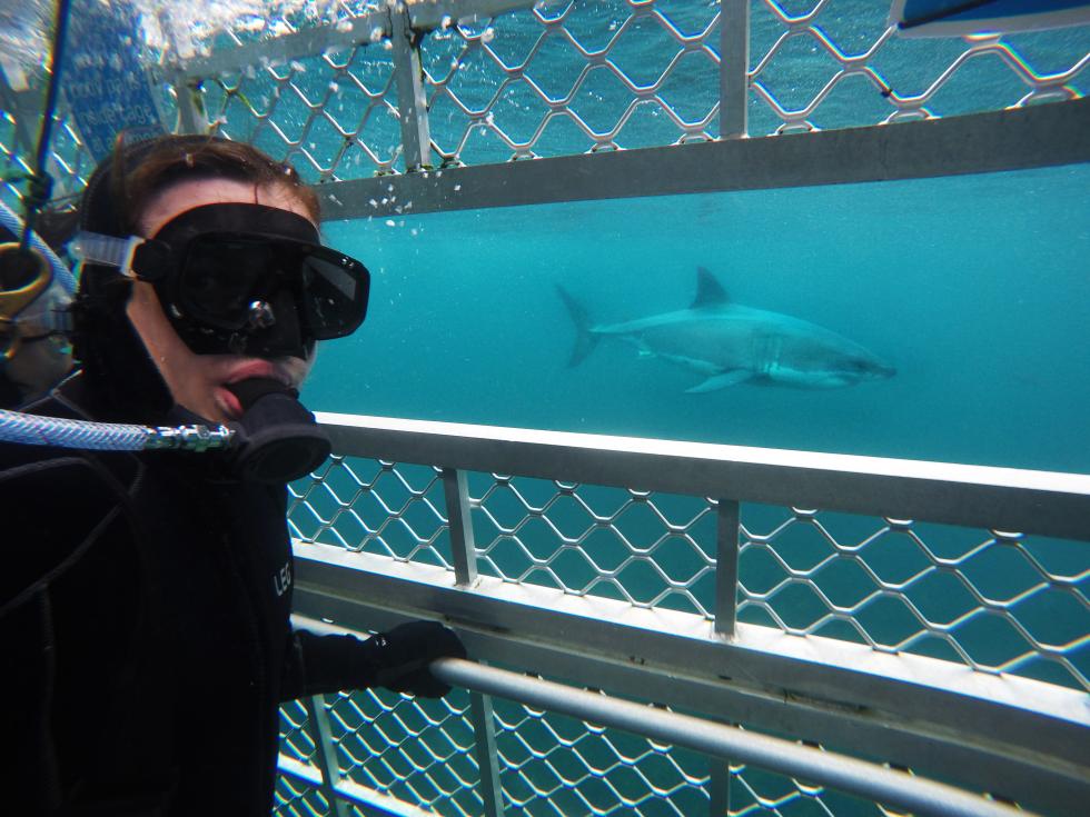 Jimmy Britnell 2017 Shark Selfie